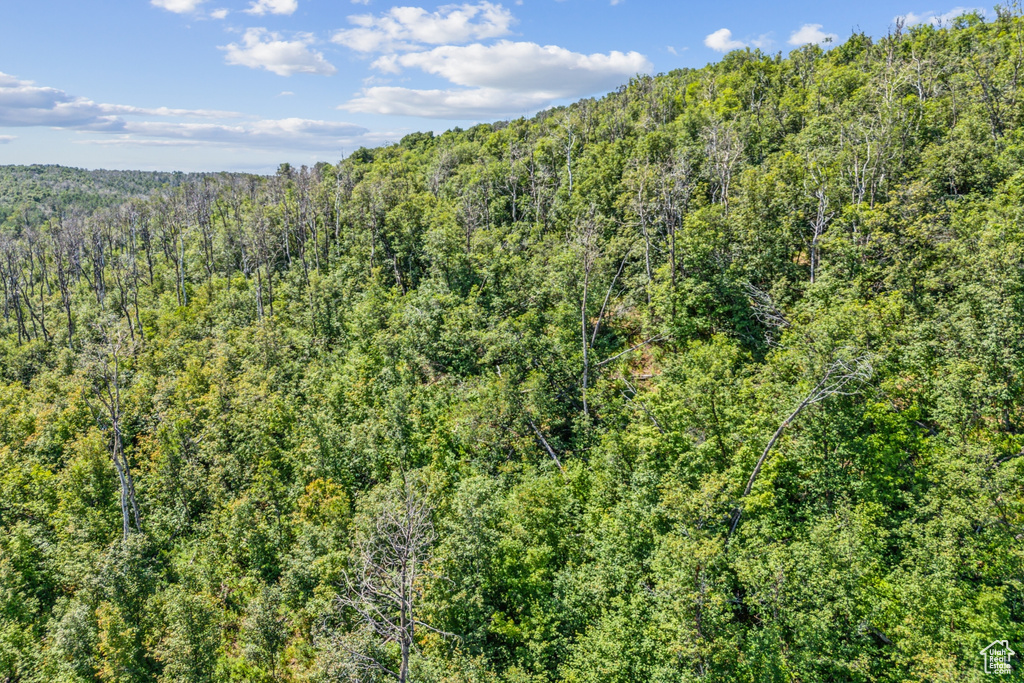  Woodland, UT 84036