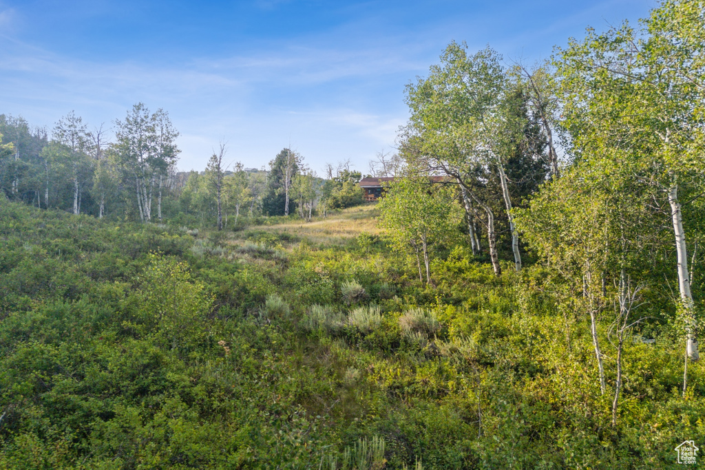  Woodland, UT 84036