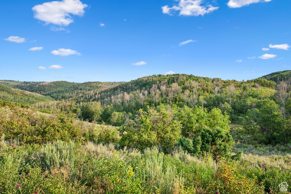  Woodland, UT 84036