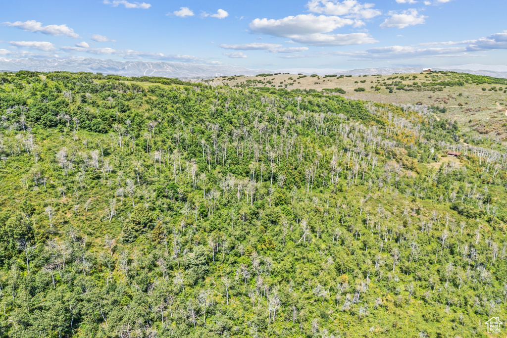  Woodland, UT 84036