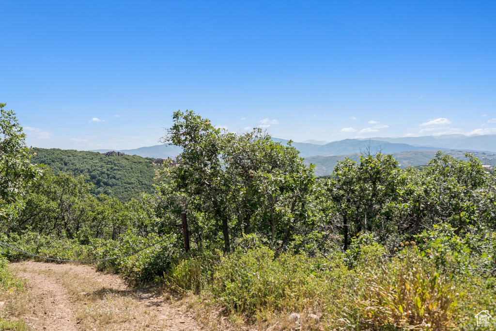 1237 LOWER COVE RD Park City, UT 84098