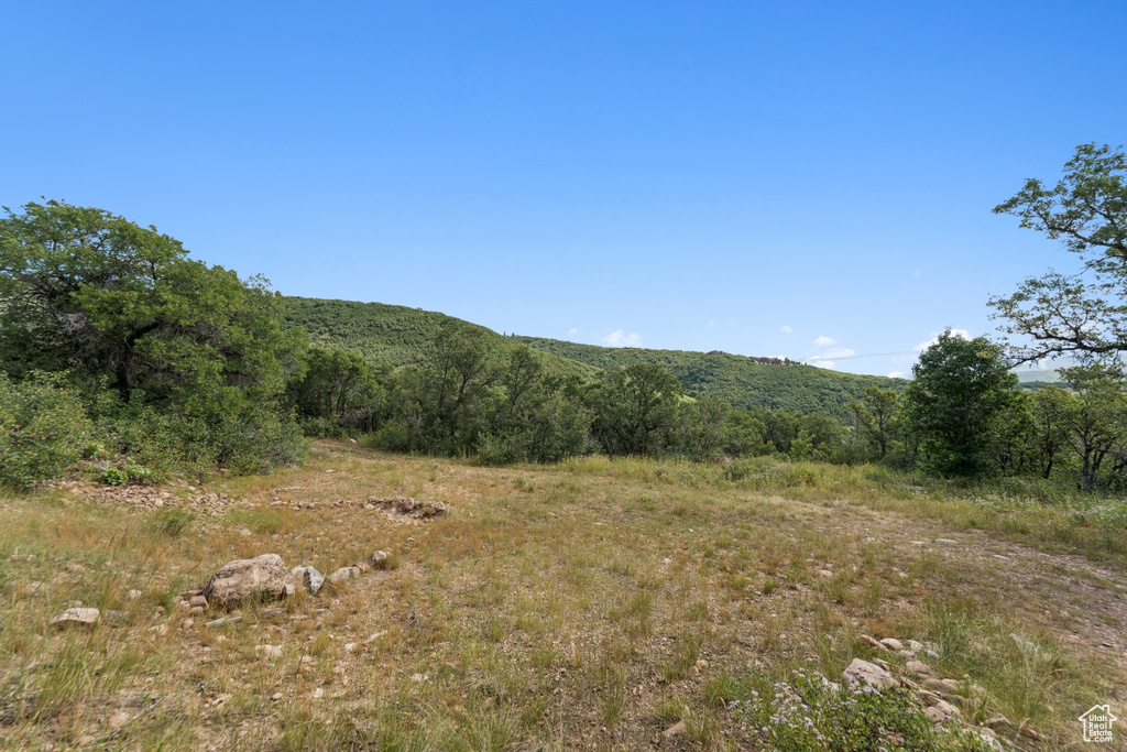 1237 LOWER COVE RD Park City, UT 84098