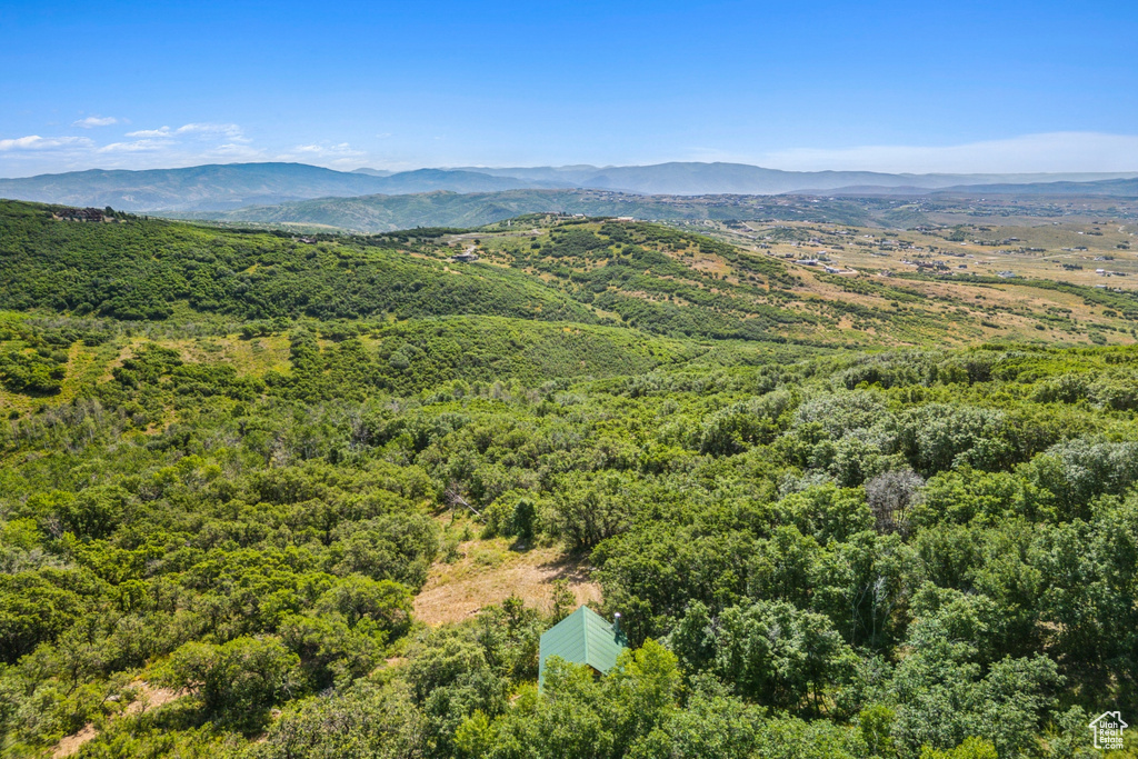 1237 LOWER COVE RD Park City, UT 84098