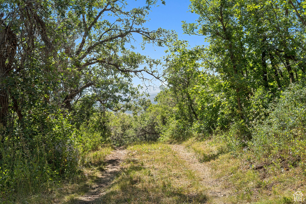 1237 LOWER COVE RD Park City, UT 84098