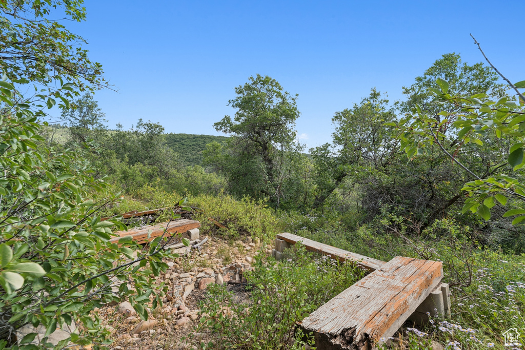 1237 LOWER COVE RD Park City, UT 84098
