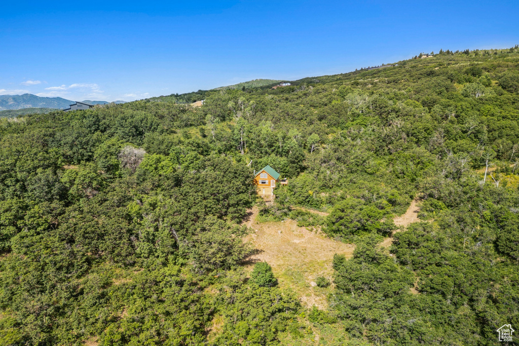 1237 LOWER COVE RD Park City, UT 84098