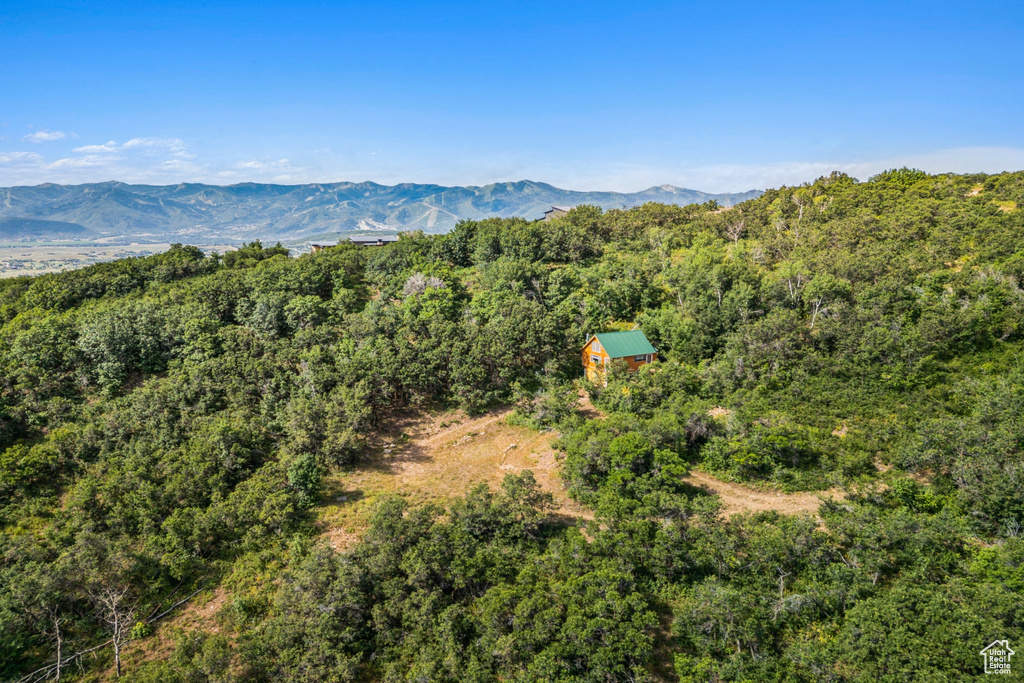 1237 LOWER COVE RD Park City, UT 84098