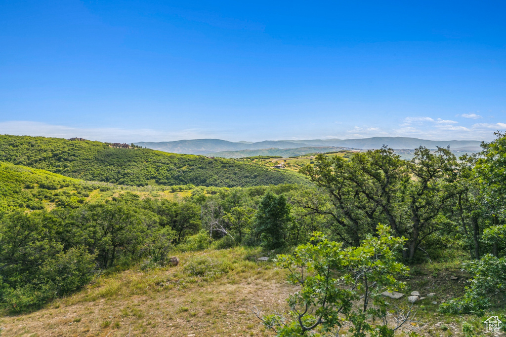 1237 LOWER COVE RD Park City, UT 84098