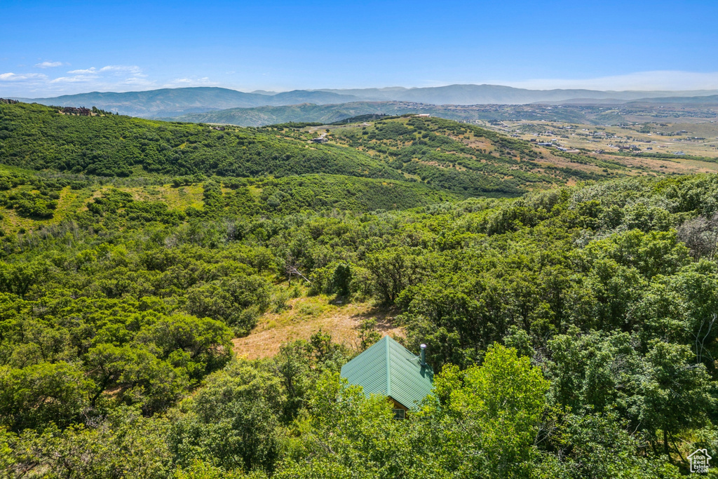 1237 LOWER COVE RD Park City, UT 84098