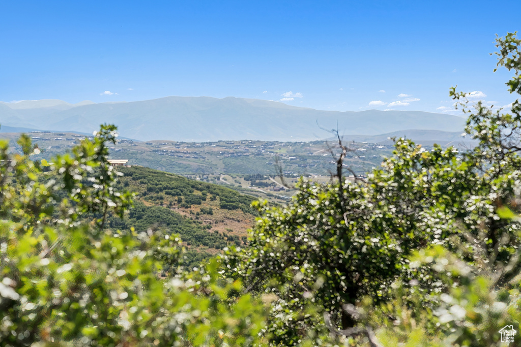 1237 LOWER COVE RD Park City, UT 84098