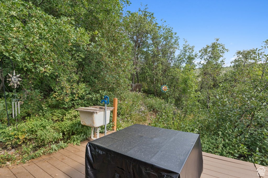1237 LOWER COVE RD Park City, UT 84098