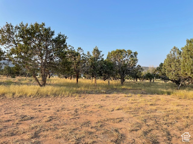 6040 E 10590 N Spring City, UT 84662