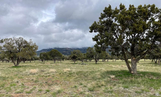 6040 E 10590 N Spring City, UT 84662