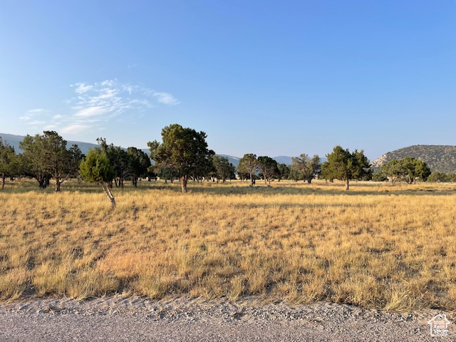 6040 E 10590 N Spring City, UT 84662