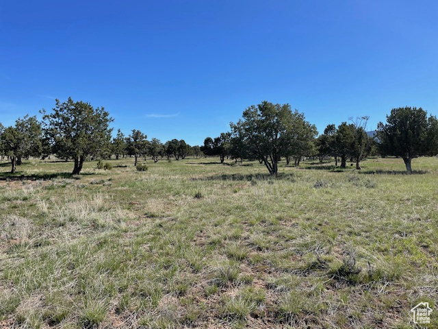 6040 E 10590 N Spring City, UT 84662