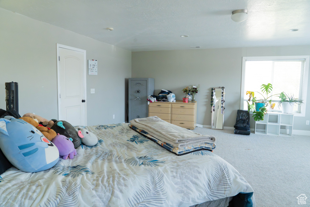 1060 SEARLE LN Eagle Mountain, UT 84005