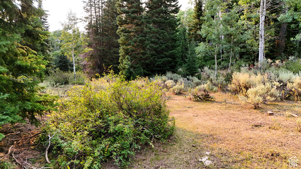 123  TBD DANCEHALL SPRING RD Sunnyside, UT 84539