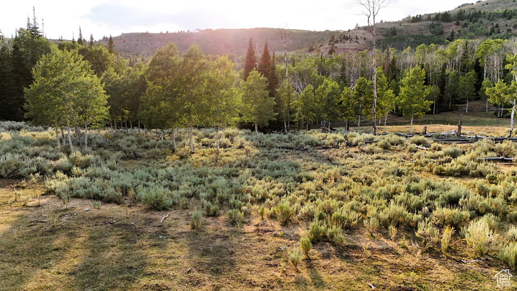 123  TBD DANCEHALL SPRING RD Sunnyside, UT 84539