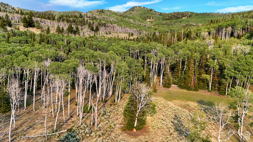 123  TBD DANCEHALL SPRING RD Sunnyside, UT 84539