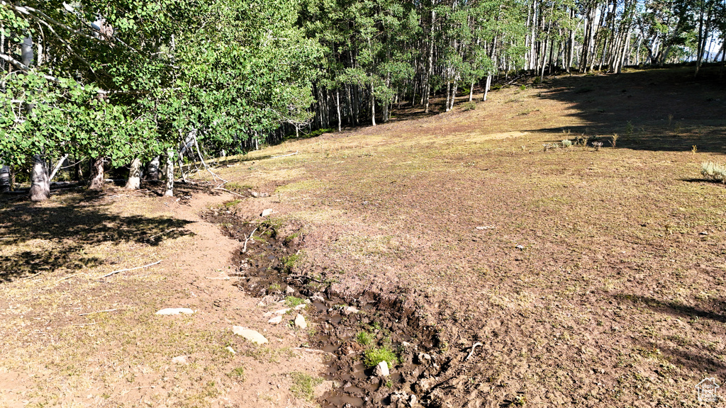 123  TBD DANCEHALL SPRING RD Sunnyside, UT 84539