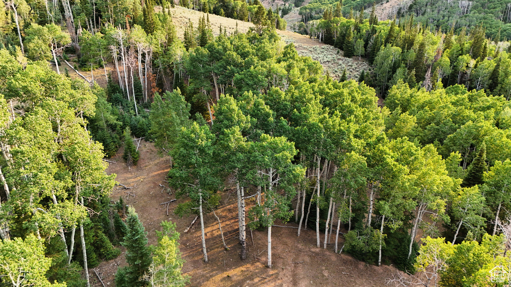 123  TBD DANCEHALL SPRING RD Sunnyside, UT 84539