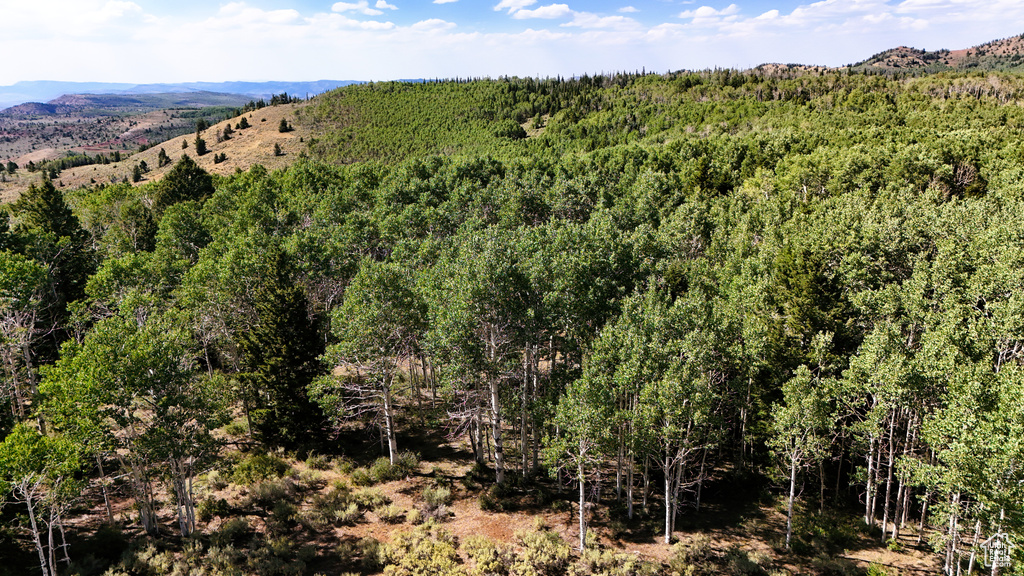 123  TBD DANCEHALL SPRING RD Sunnyside, UT 84539