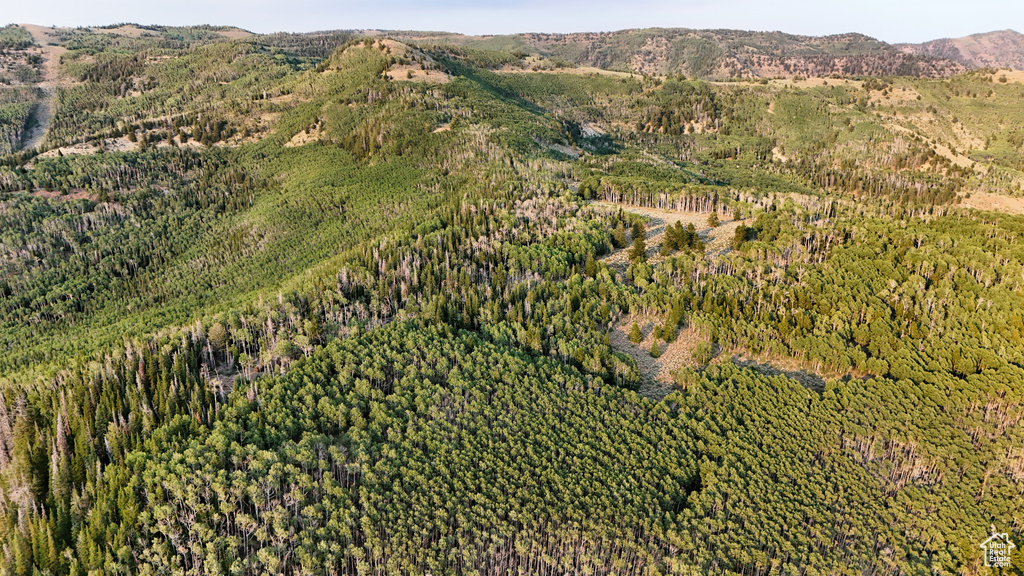 123  TBD DANCEHALL SPRING RD Sunnyside, UT 84539