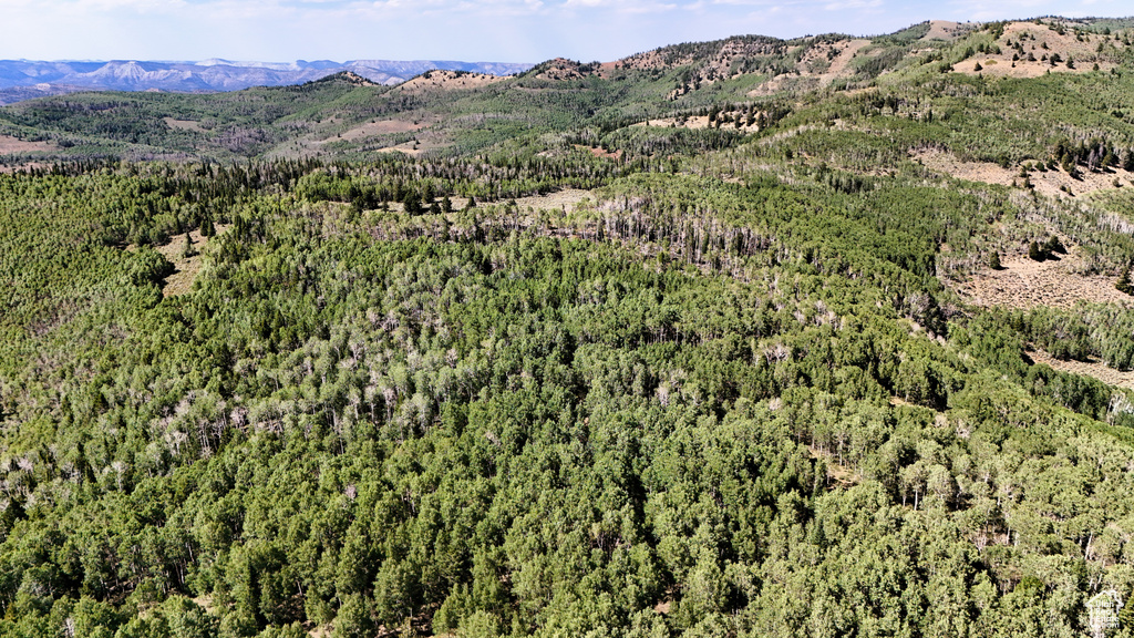 123  TBD DANCEHALL SPRING RD Sunnyside, UT 84539