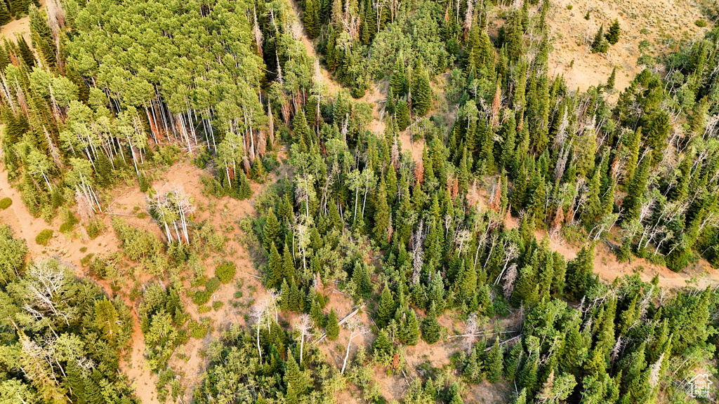 123  TBD DANCEHALL SPRING RD Sunnyside, UT 84539