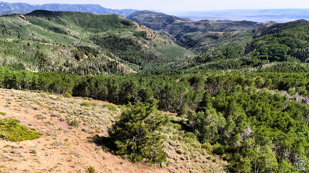 123  TBD DANCEHALL SPRING RD Sunnyside, UT 84539