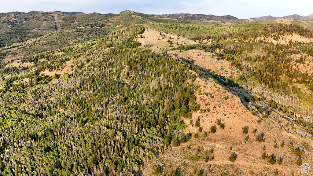 123  TBD DANCEHALL SPRING RD Sunnyside, UT 84539