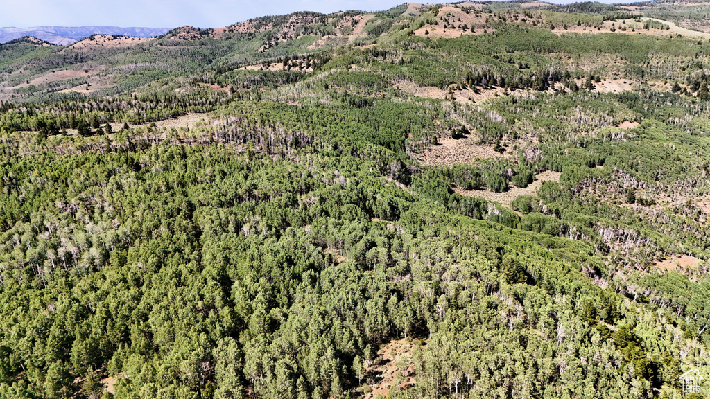 123  TBD DANCEHALL SPRING RD Sunnyside, UT 84539