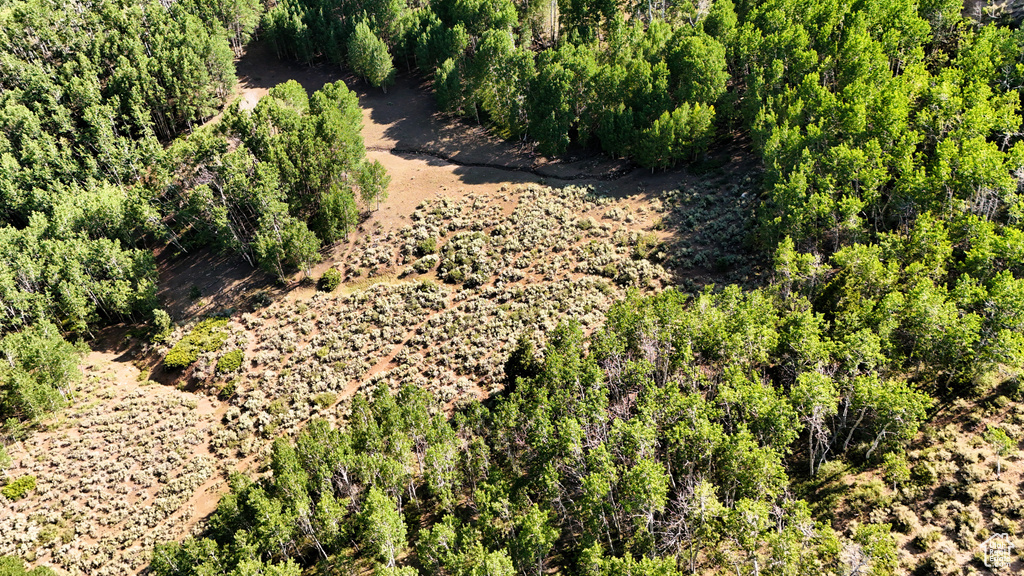 123  TBD DANCEHALL SPRING RD Sunnyside, UT 84539