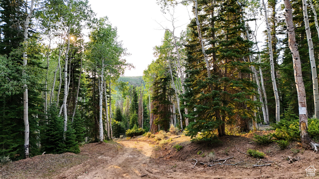 123  TBD DANCEHALL SPRING RD Sunnyside, UT 84539