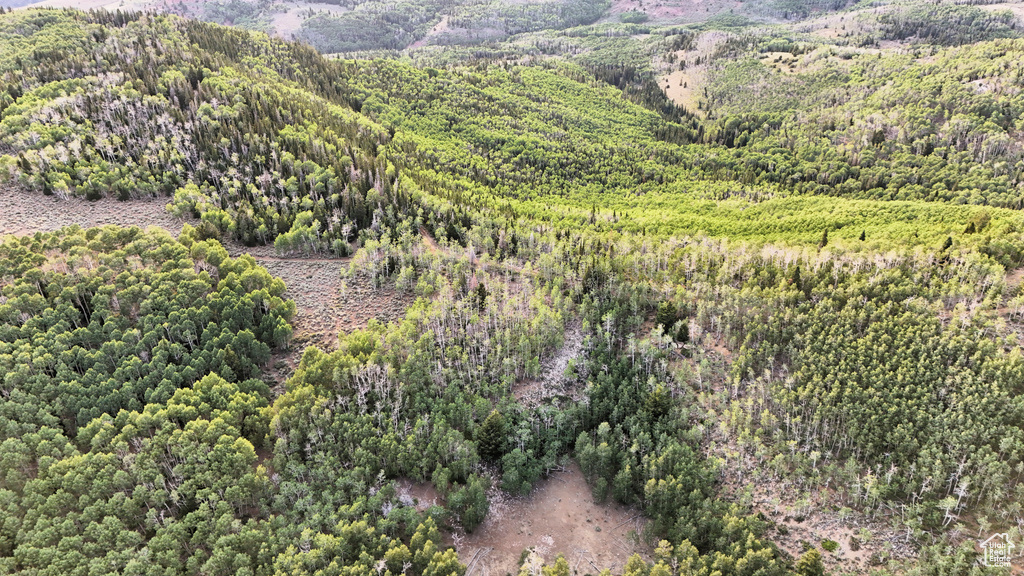 123  TBD DANCEHALL SPRING RD Sunnyside, UT 84539