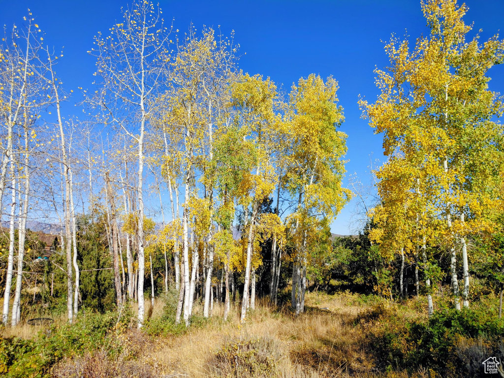 1813 S GREENLEAF RD Heber City, UT 84032