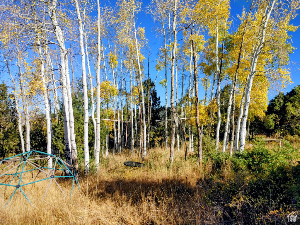 1813 S GREENLEAF RD Heber City, UT 84032