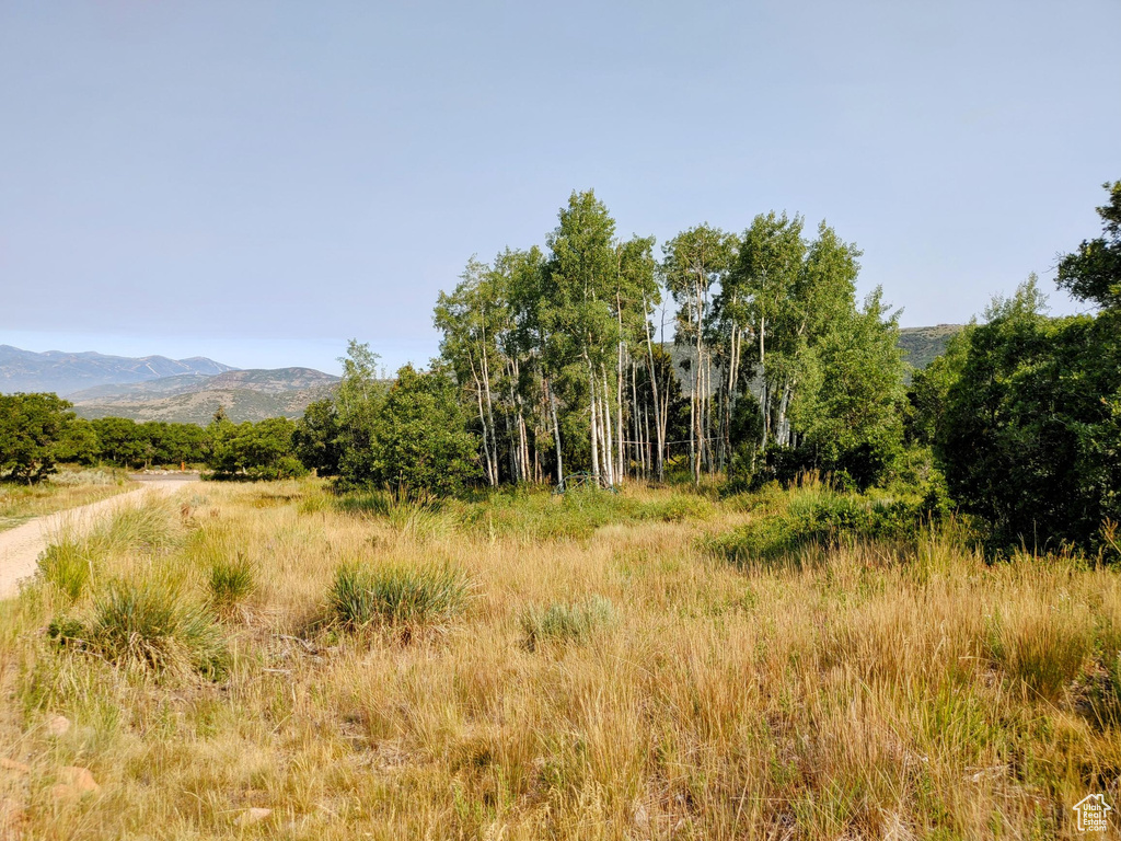1813 S GREENLEAF RD Heber City, UT 84032