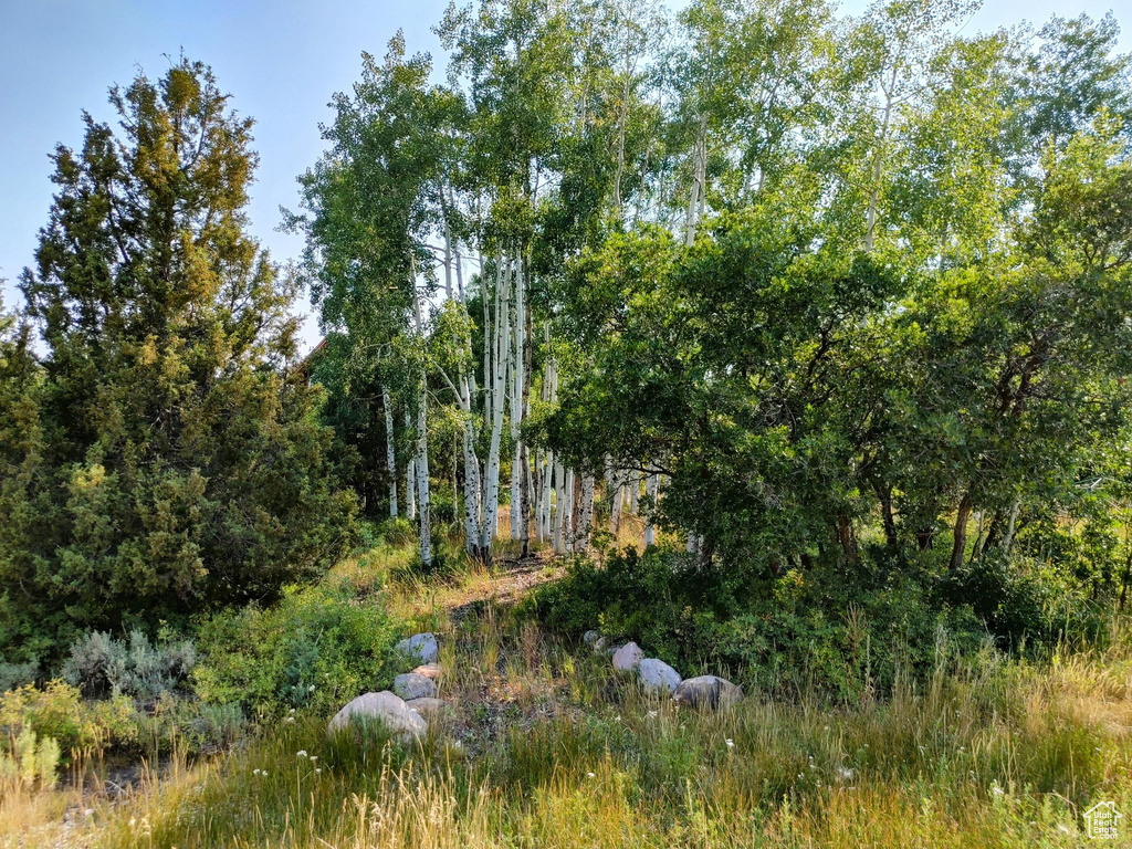 1813 S GREENLEAF RD Heber City, UT 84032
