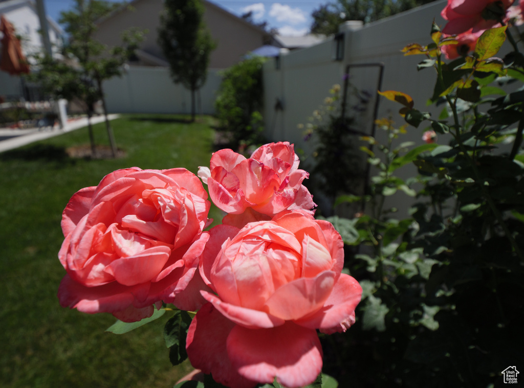 920 E QUEENSMILL LN Salt Lake City, UT 84106