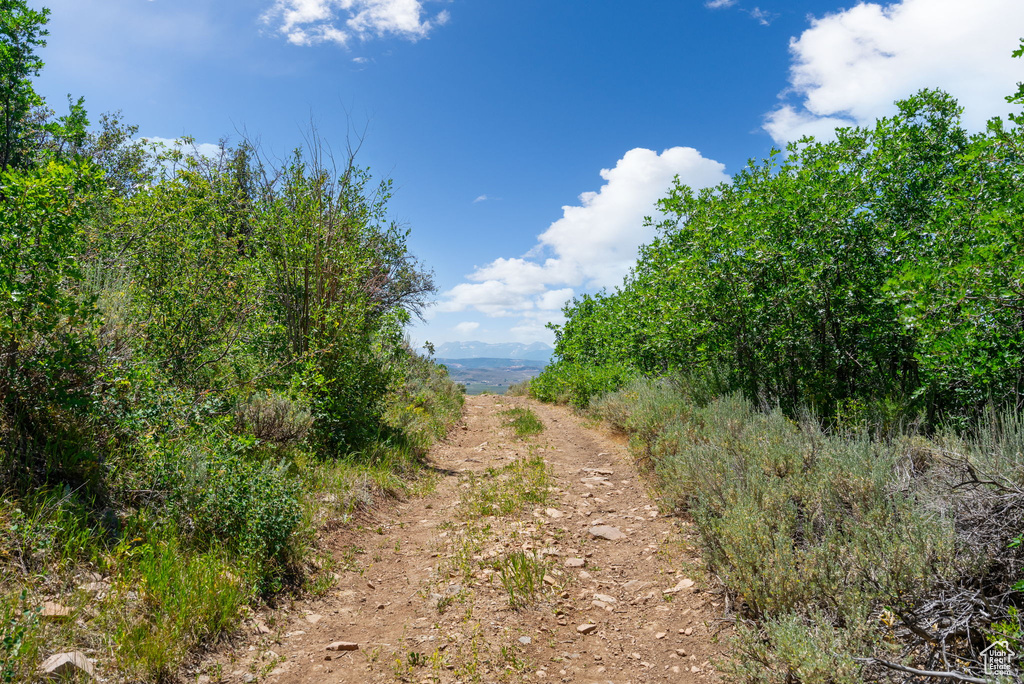 2427  PAINTER RD Marion, UT 84036