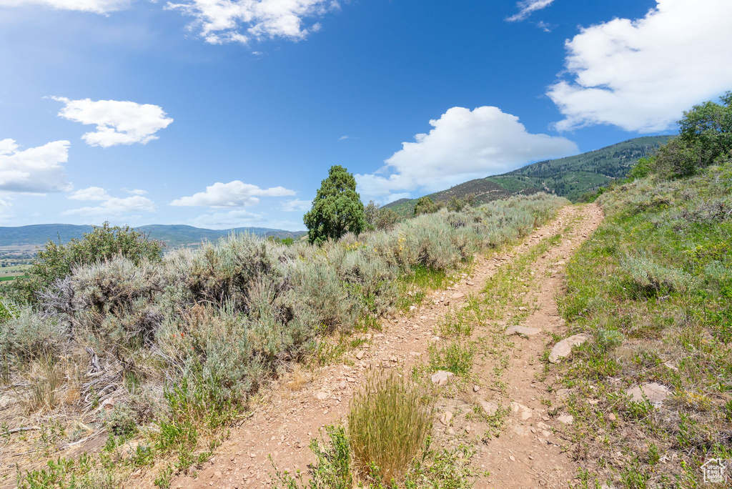 2427  PAINTER RD Marion, UT 84036