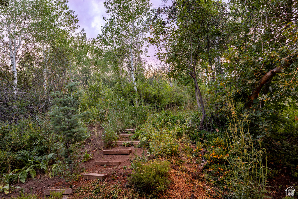 4320 HIDDEN COVE RD Park City, UT 84098