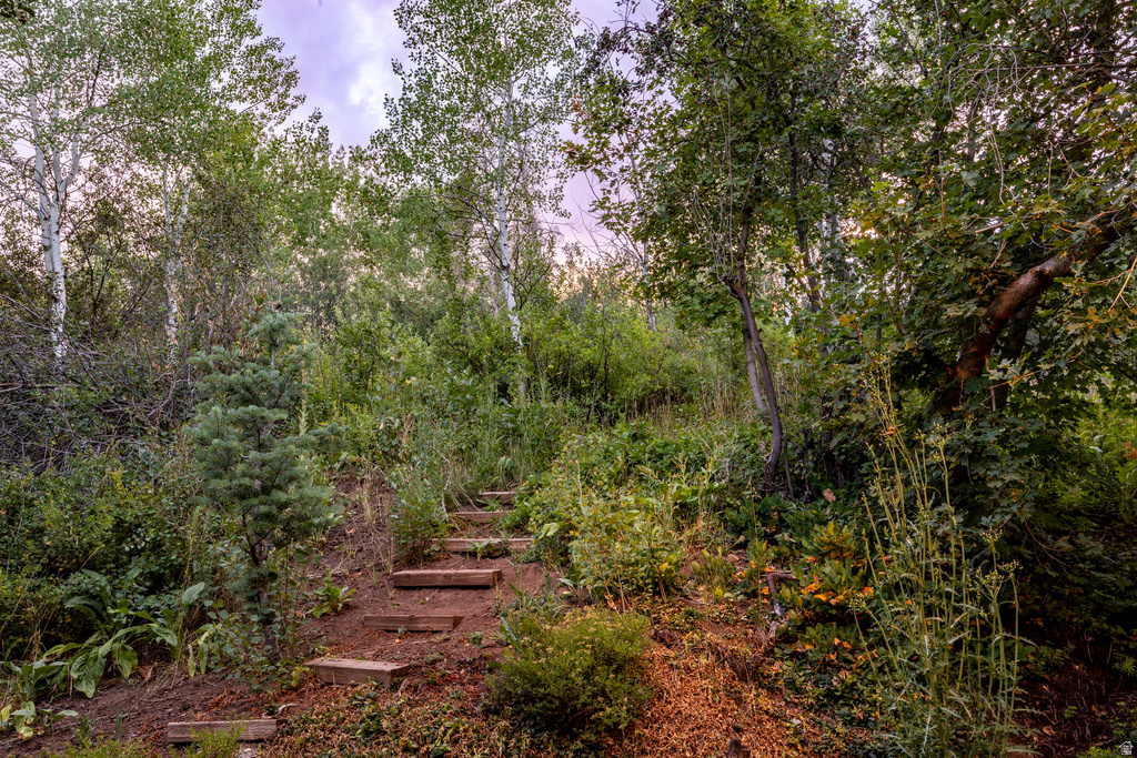 4320 HIDDEN COVE RD Park City, UT 84098