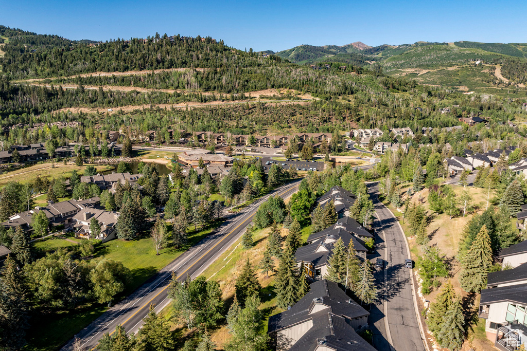1428 AMBER RD Park City, UT 84060