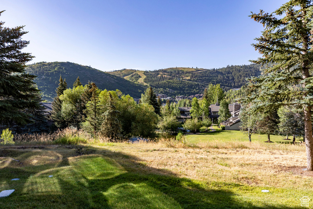 1428 AMBER RD Park City, UT 84060