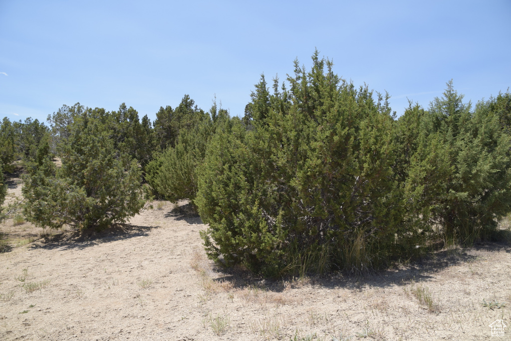  Mt Pleasant, UT 84647