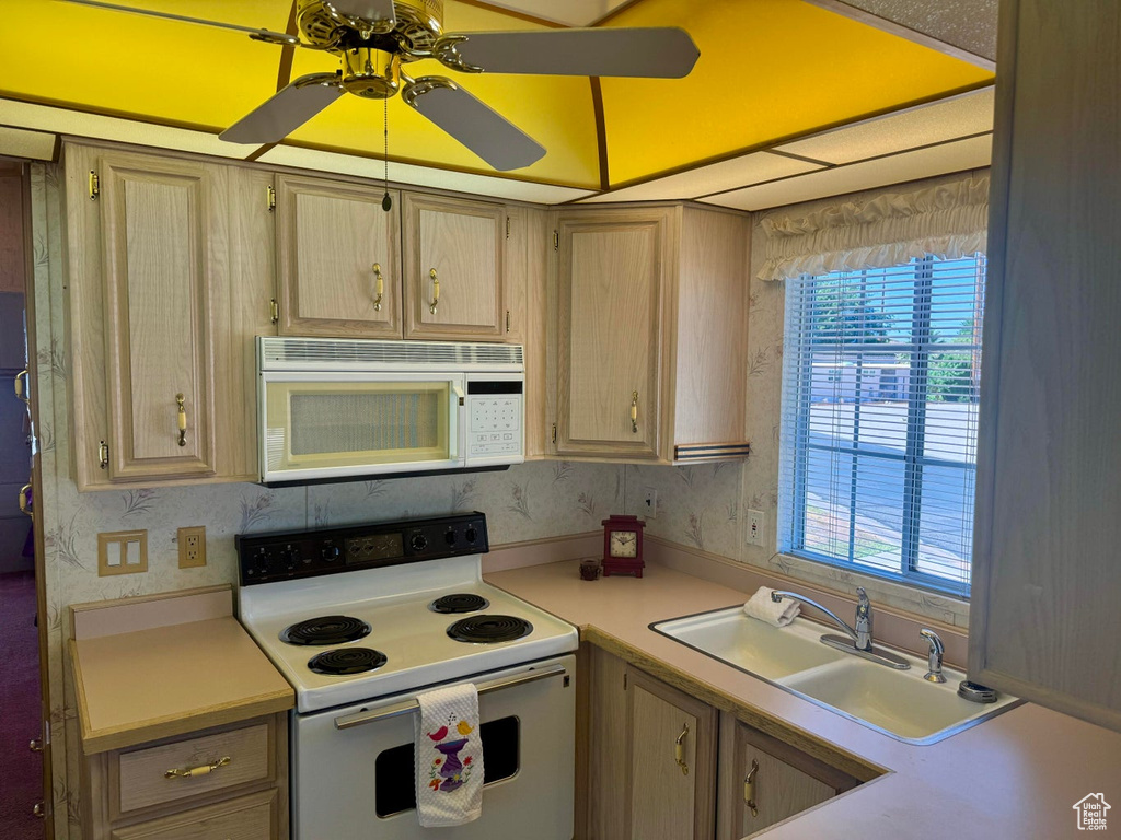 Photo 12 for MLS #2101631 at 1160 E Telegraph St #59