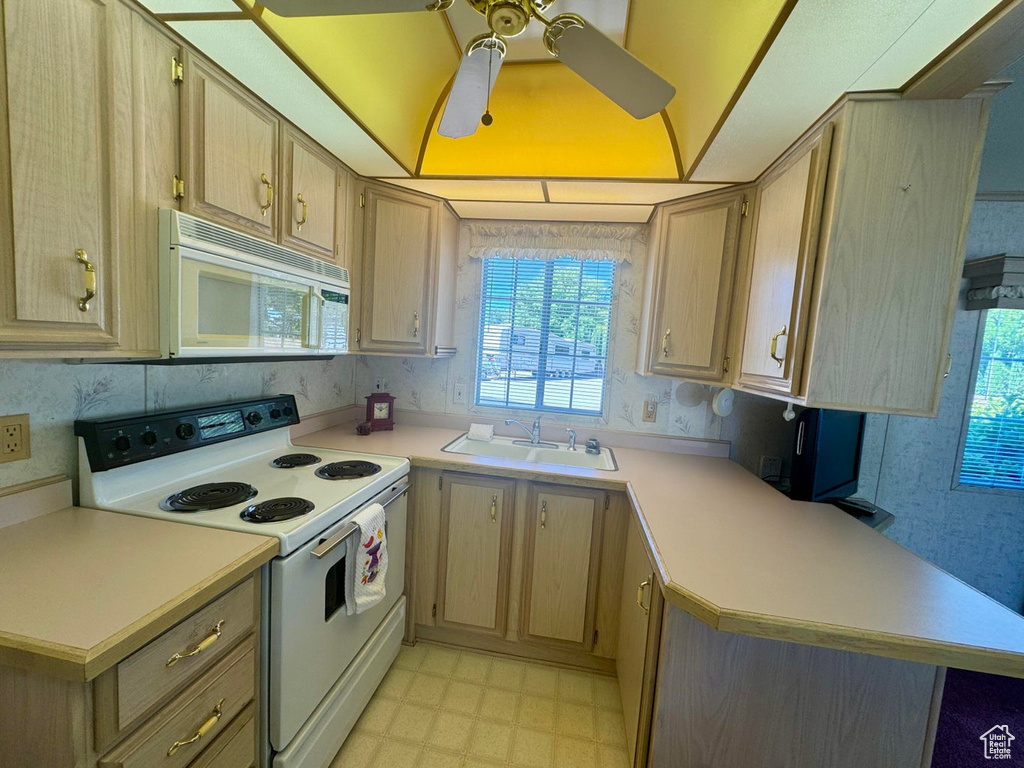 Photo 11 for MLS #2101631 at 1160 E Telegraph St #59
