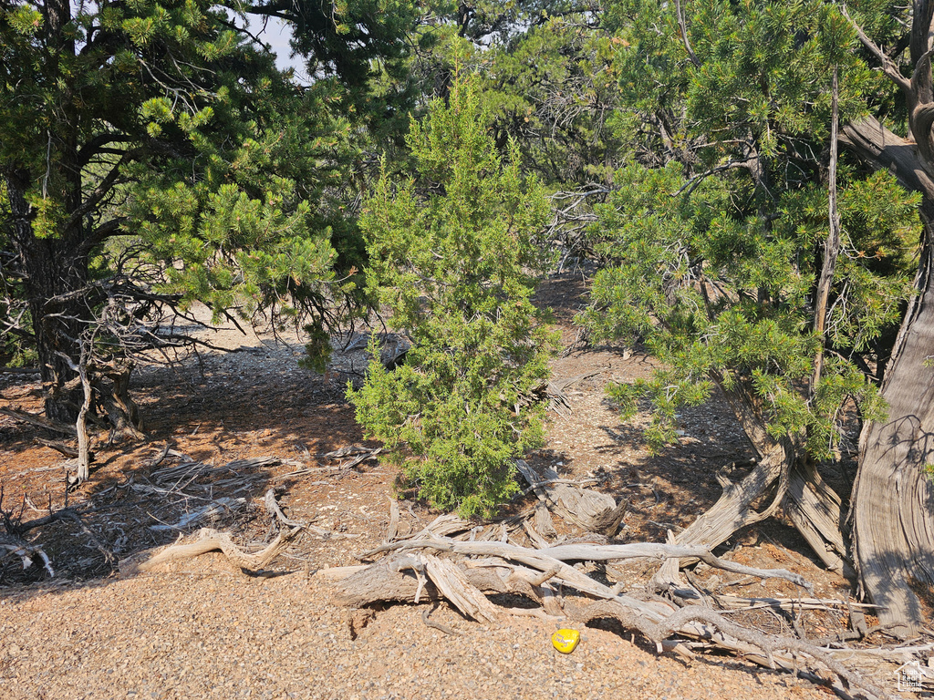  Fruitland, UT 84027